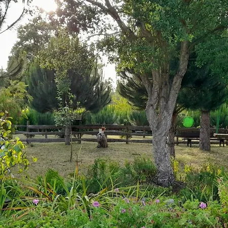 Chale Dos Sobreiros *