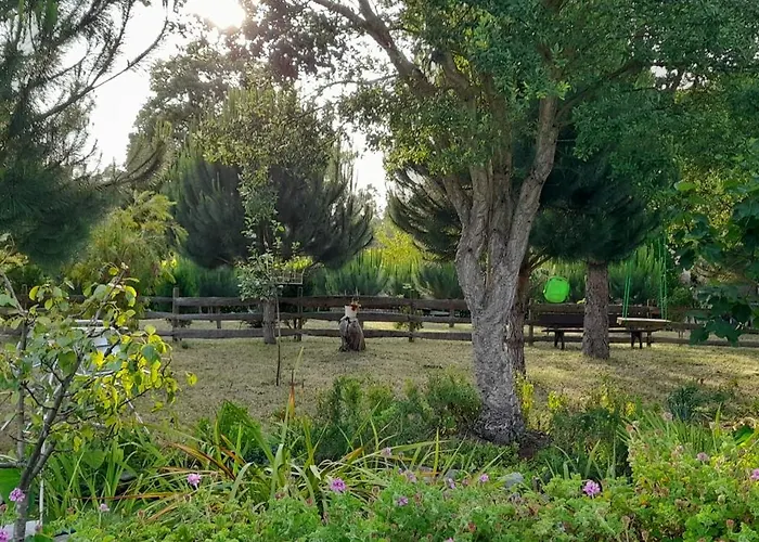 Chale Dos Sobreiros *