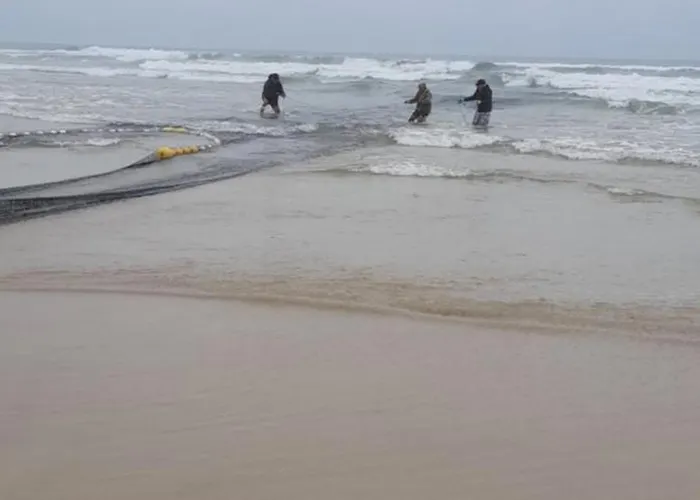 Chale Dos Sobreiros Chalet Bicas